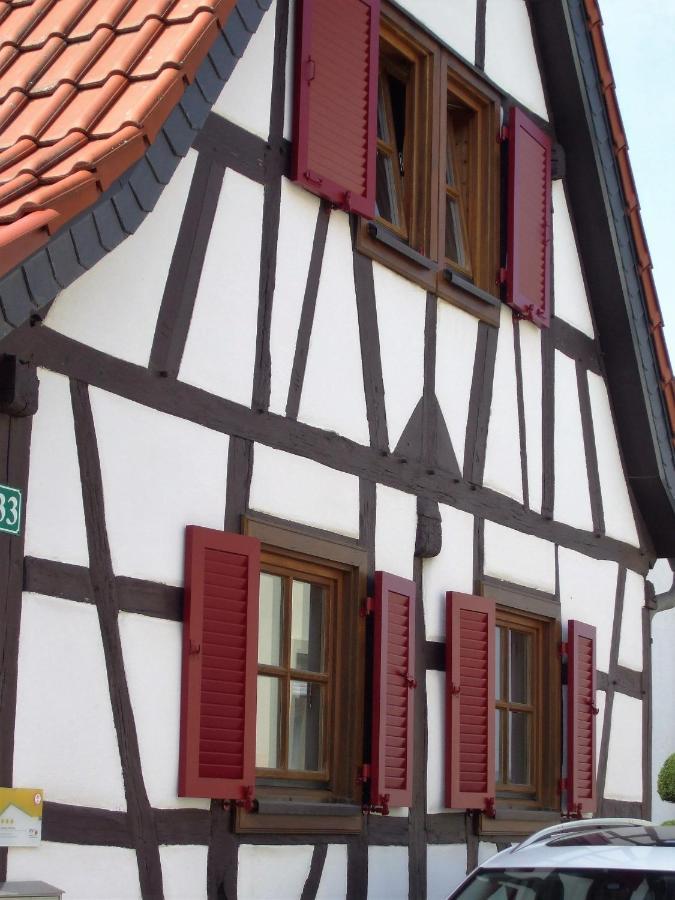 Ferienhaus Pfalzklause Billigheim-Ingenheim Exteriör bild