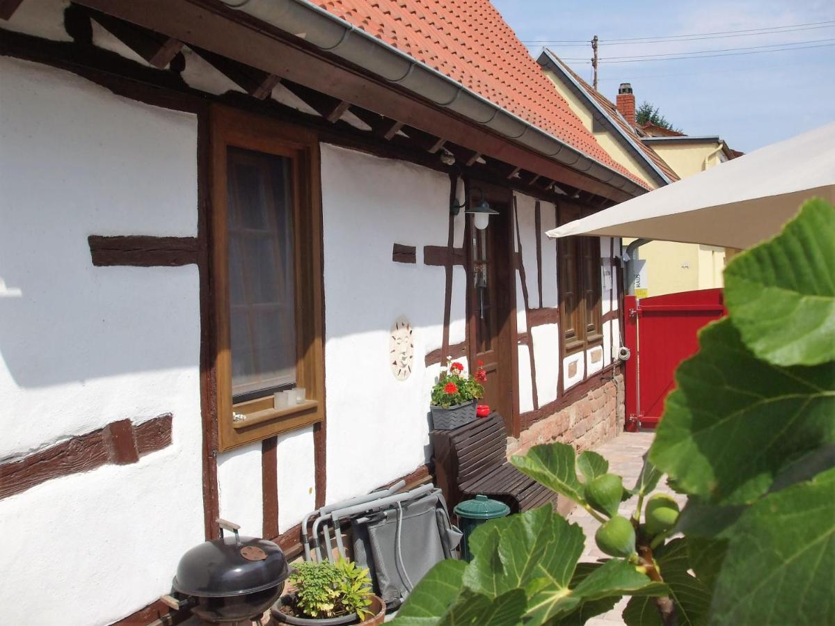 Ferienhaus Pfalzklause Billigheim-Ingenheim Exteriör bild